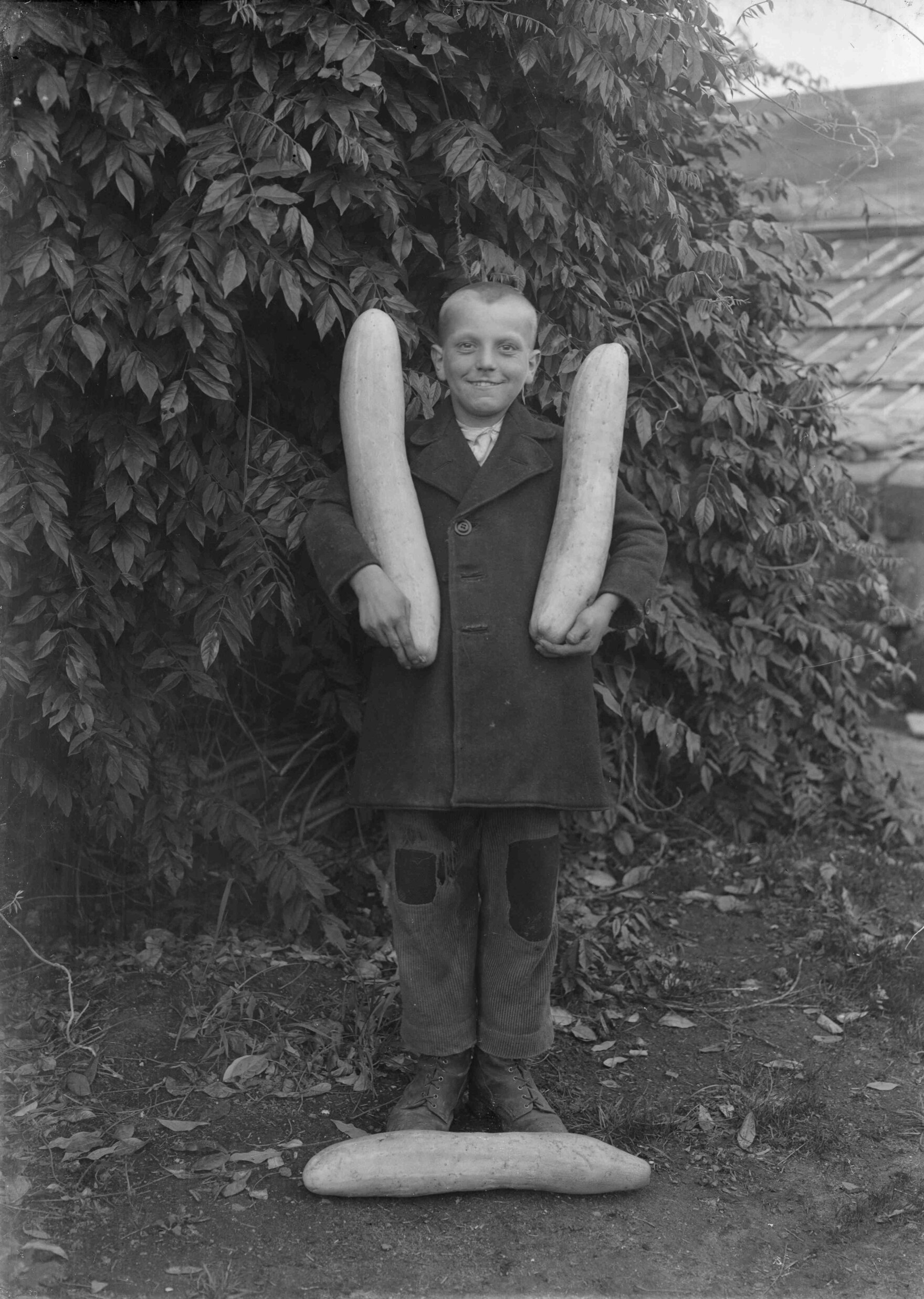 Quedlinburg, Der Stolz des Gärtners, Aufnahme um 1930 von Paul Wolff